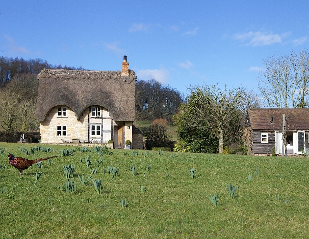 quaint cream cottage with thatched roof